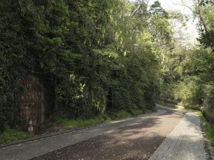 同じく掩蔽部の扉。