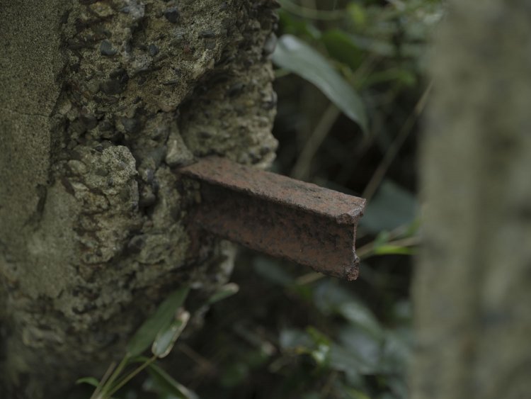 たしかにトロッコレールだ。