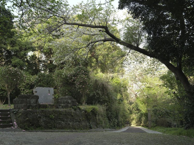 右側が三軒家砲台の入り口部分。年季の入った案内板があった。