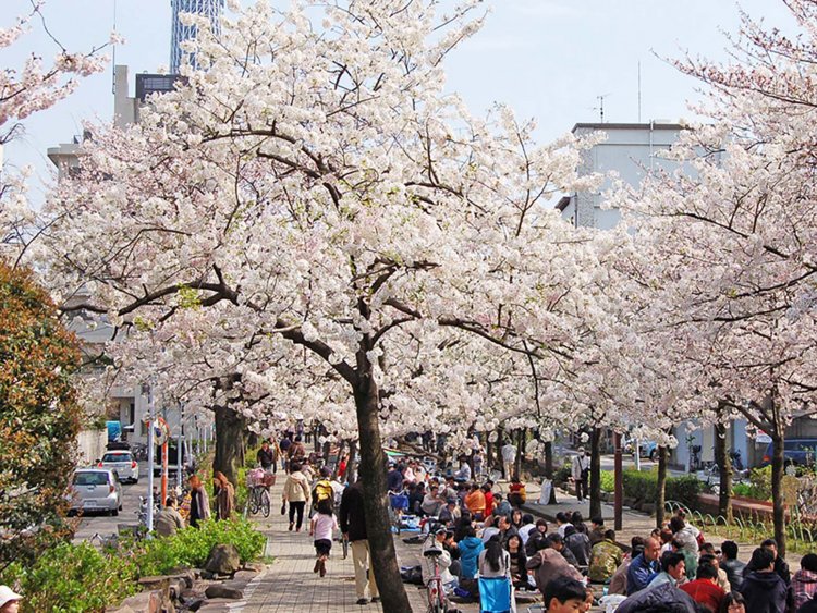 浅草・南千住・北千住_03_山谷堀公園