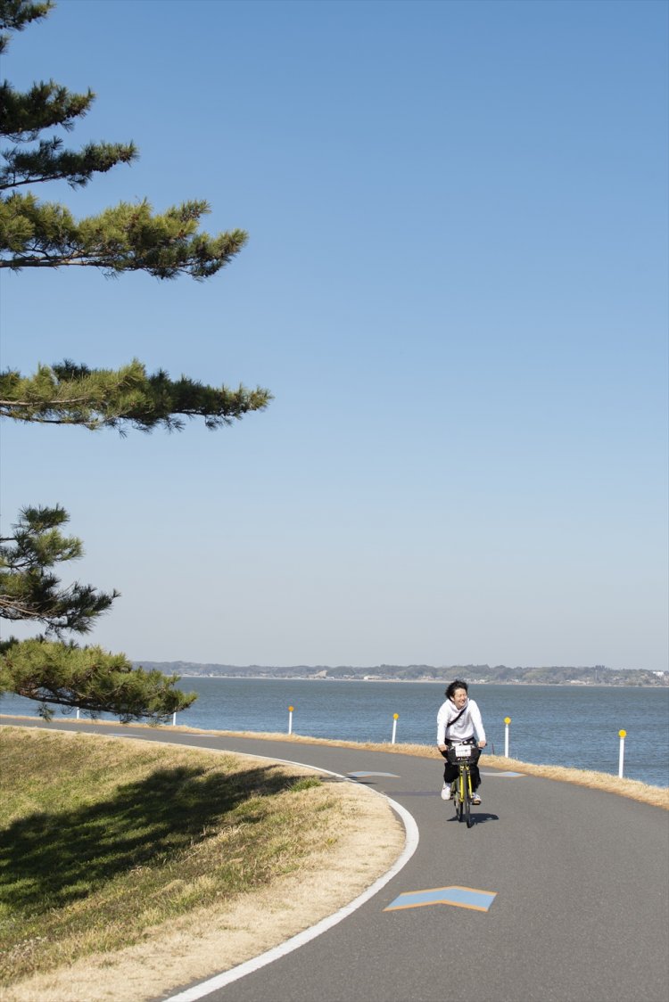 和田公園沿いのゆるいカーブ。傍らに松の木が群生している。