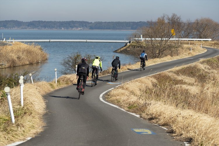 路面には道しるべの矢羽根が。コースから外れずに、安心して走れる。