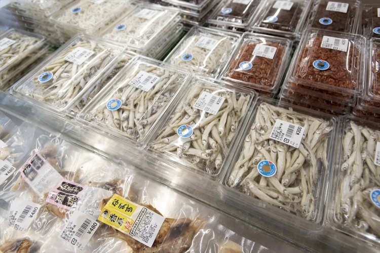 霞ケ浦の魚介類。