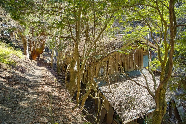 鳥首峠への山筋に沿って立つ白岩集落跡。暮らしの気配が残る。