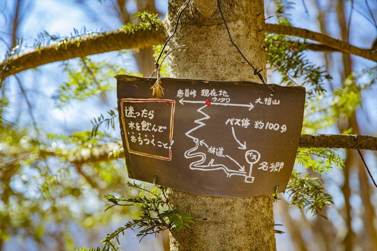 ウノタワの分岐点に立つ木にも案内版が。
