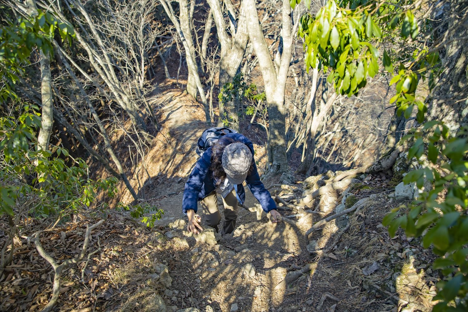 根っこを綱代わりに、崖を登り下りする所も。