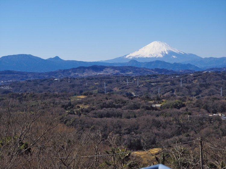 湘南平の展望台から富士山方面の眺め。左手のぽっこりした山は金時山、その左側が明神ヶ岳になる。