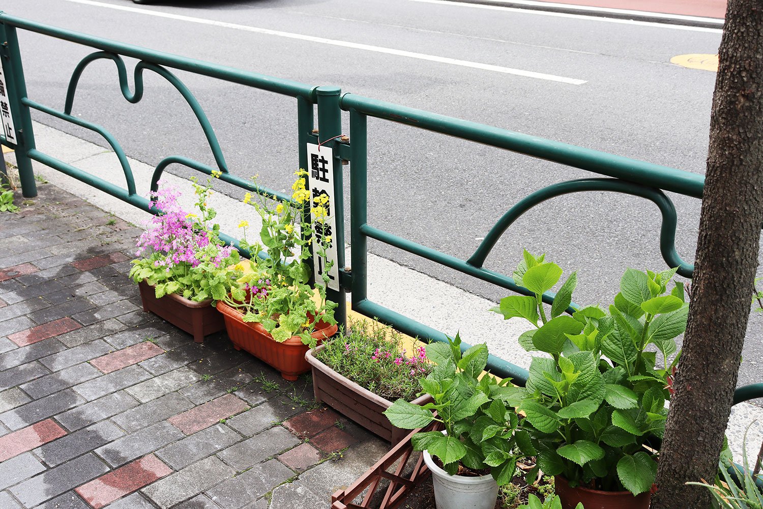 働く鉢植えたち。