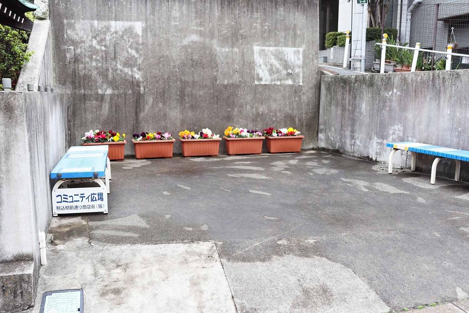 休憩コーナーを飾る花たち。