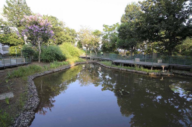 浅草・南千住・北千住_13_柳原千草園