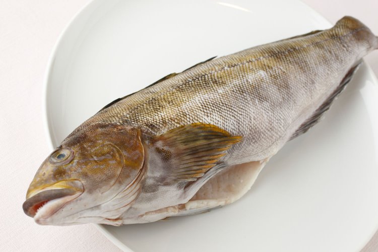 3日ほど寝かせて、皮から旨味を引き出したアイナメを用いる。肉厚で、上品な味わい。