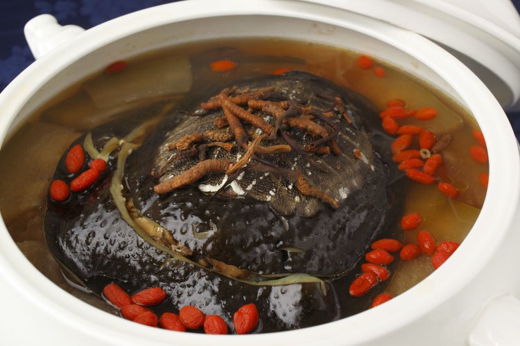 養生スッポンの蒸しスープ4950円。写真は4人前。冬瓜など季節の野菜の旨味もスープに溶け出し、味に何層もの奥行きをもたらしている。