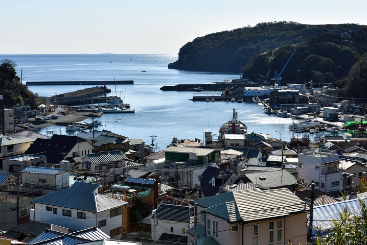 高台から港を望む。