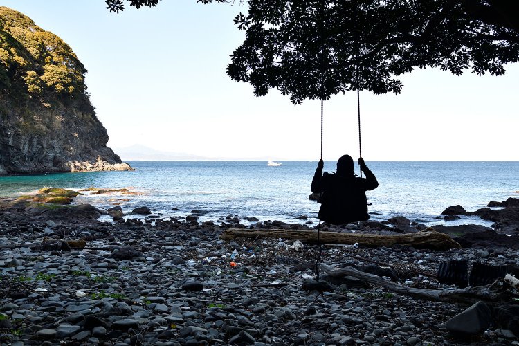 目の前の浜に自生する木の枝には、ブランコを設置。