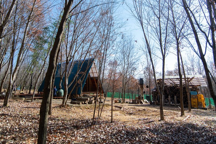 写真提供＝フォレストパークおいらの森