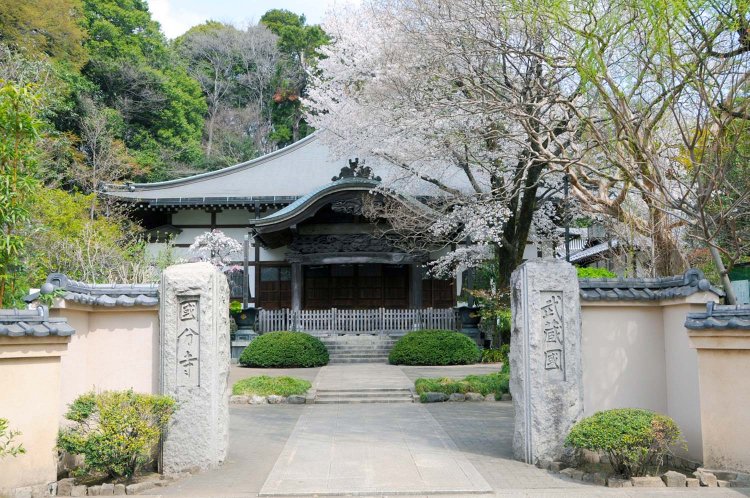 武蔵国分寺（むさしこくぶんじ）