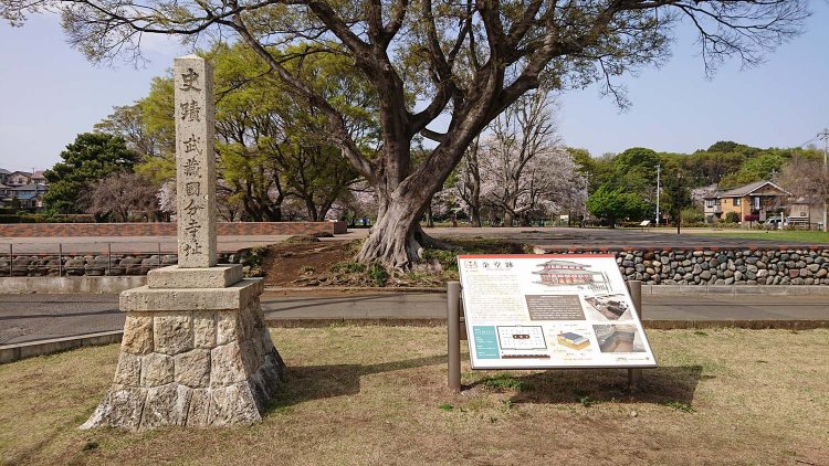 武蔵国分寺跡_R