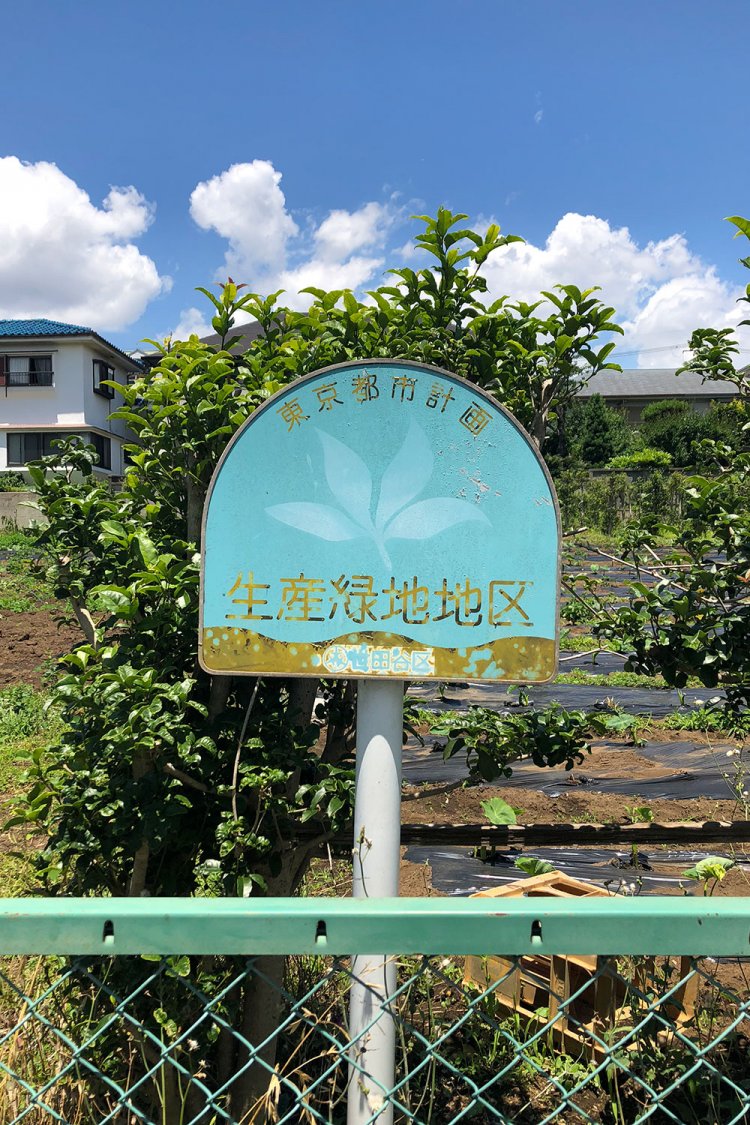 Greening, going nothing《緑化して無と化していく》