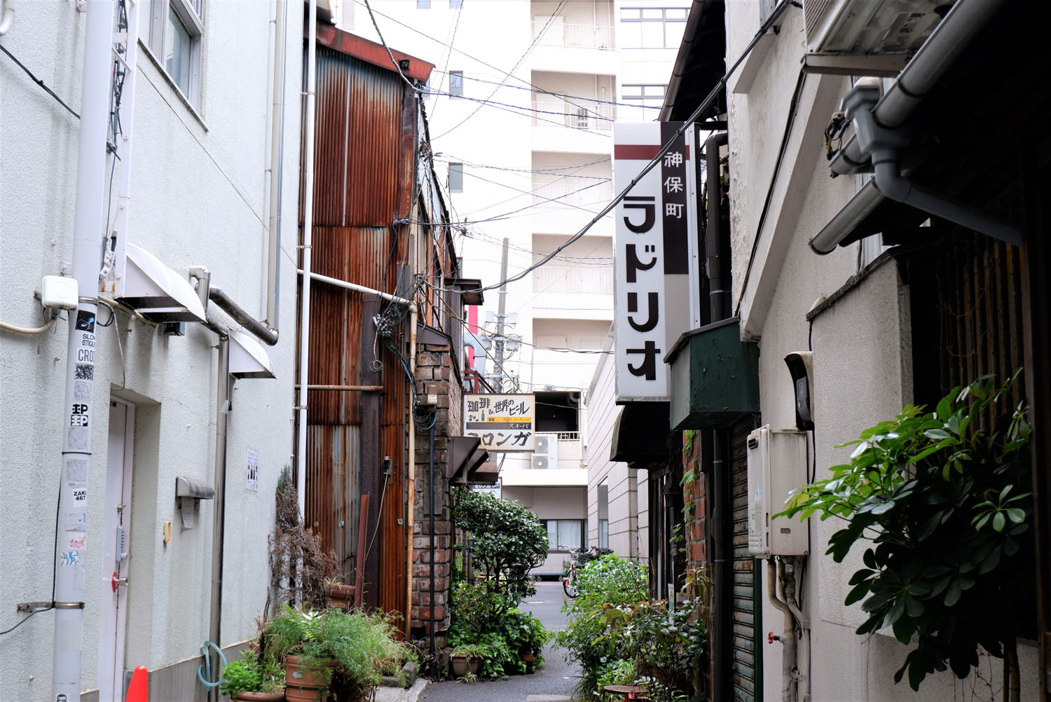 神田神保町で半世紀以上愛される老舗の喫茶店 ラドリオ さんたつ By 散歩の達人