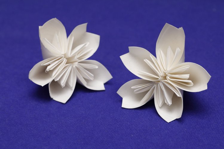 おり紙様が作った桜（左）と、ライター＆編集者による合作。