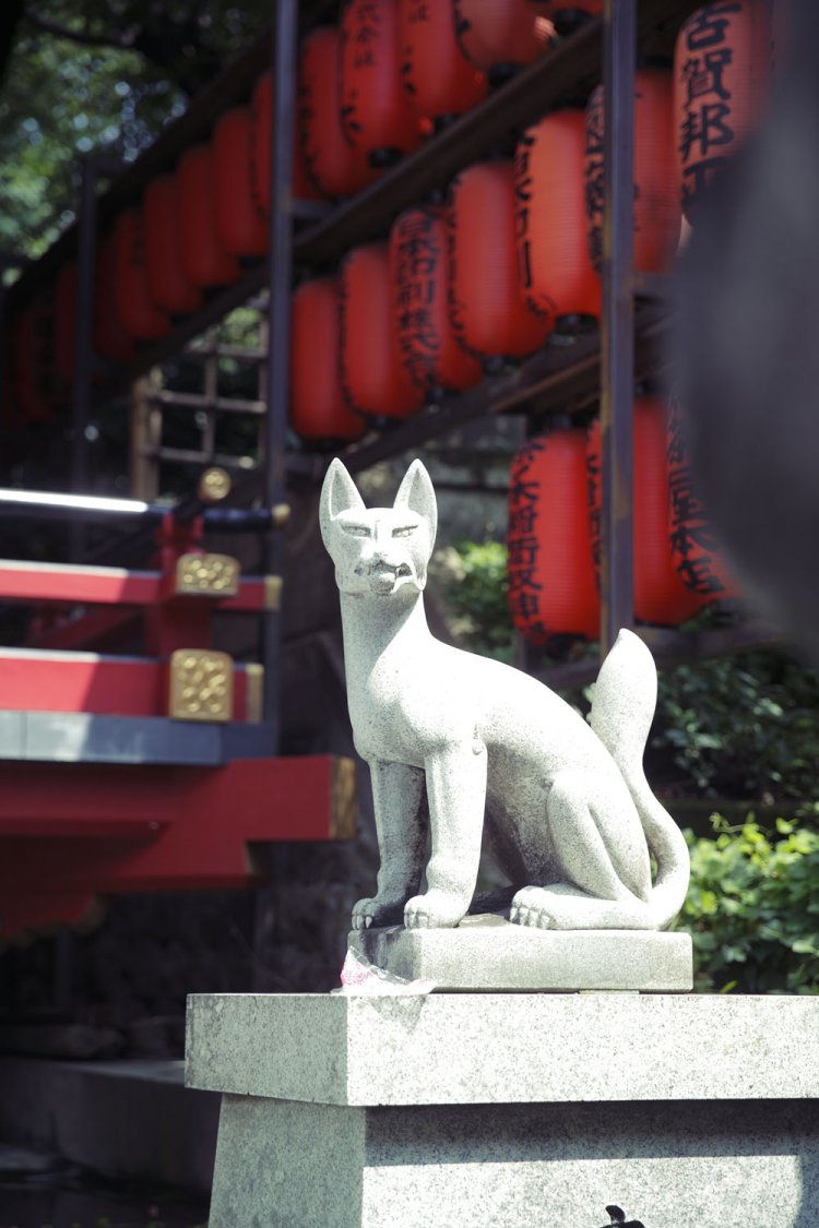 眼病に御利益ありとされる茶ノ木稲荷社。