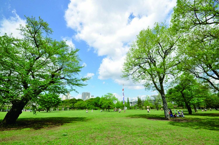 都立武蔵国分寺公園_R