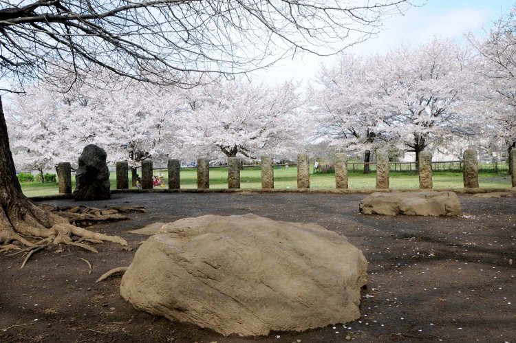 七重塔跡（武蔵国分僧寺）_R