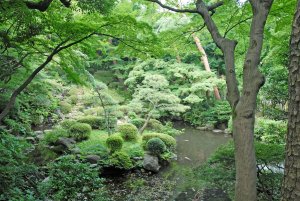 殿ヶ谷戸庭園