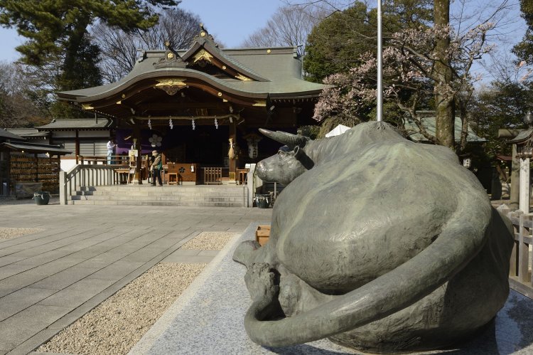 天神様のお使いである牛の像と宝永3年（1706）に再建された本殿。