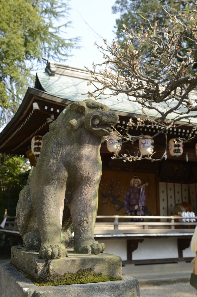 縁日の市の繁栄を願って、寛政8年（1796）に建立された市内最古の狛犬。