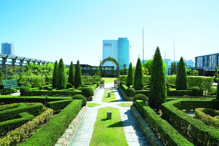 屋上庭園「Q-COURT」