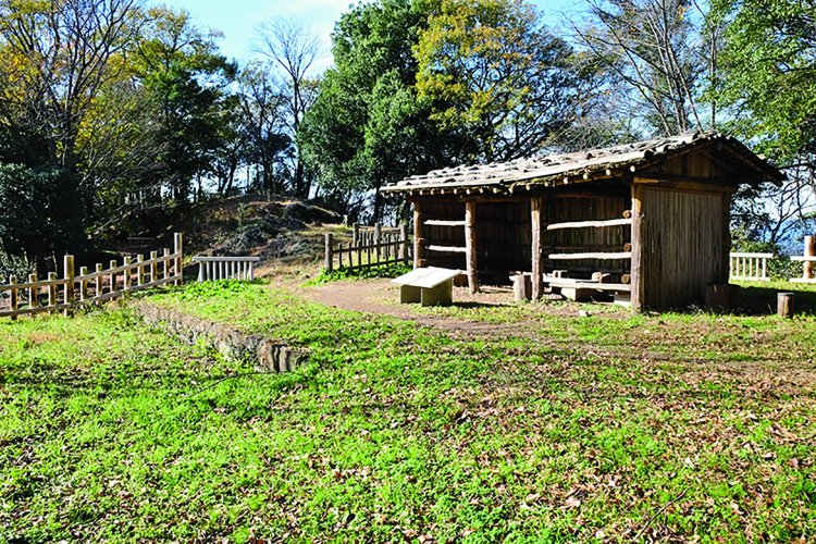 馬場曲輪。大堀切を見下ろす場所にある。