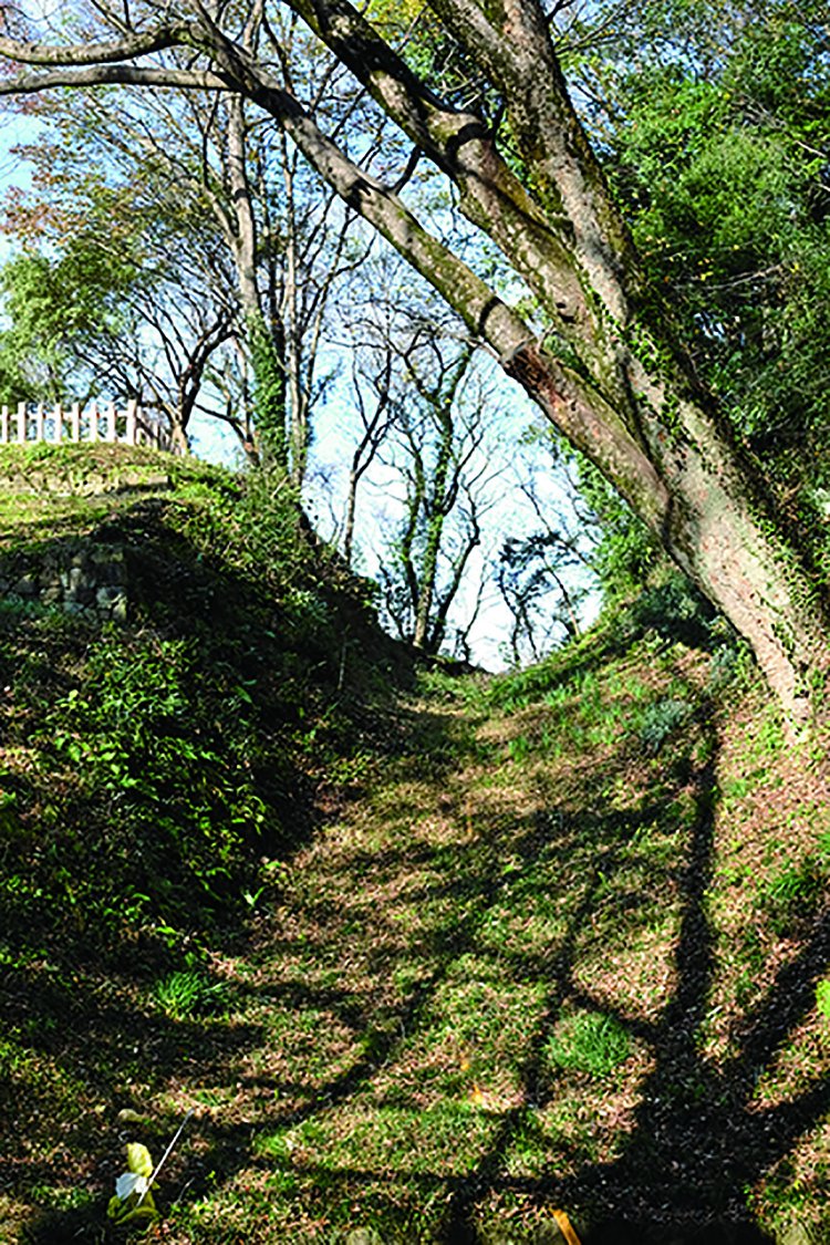 三の丸と馬場曲輪を隔てる城内最大規模の巨大な堀切。