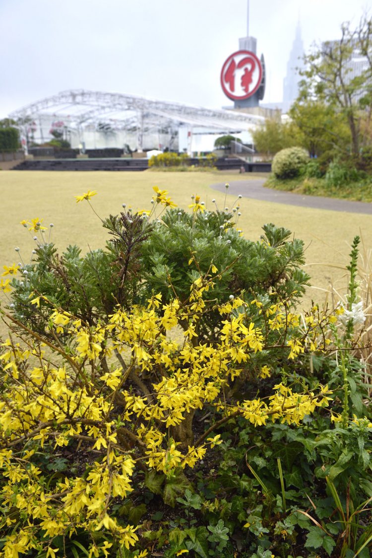 伊勢丹新宿店本館1
