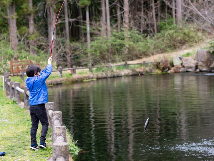 子供でも簡単に釣れるまさに入れ食い状態です。