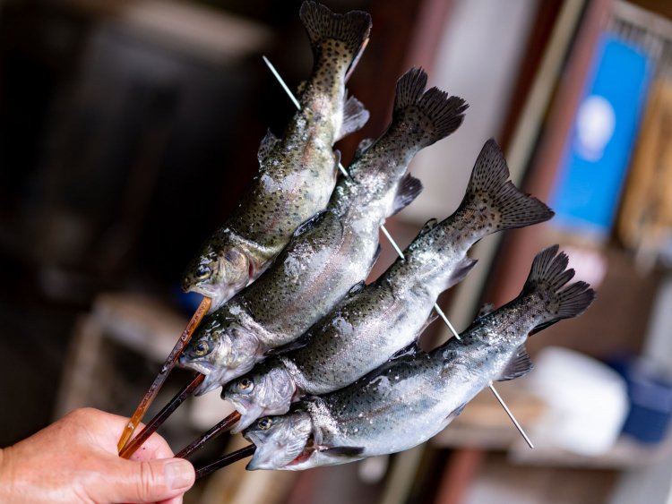 スタッフのおじさんが慣れた手つきで魚を処理。