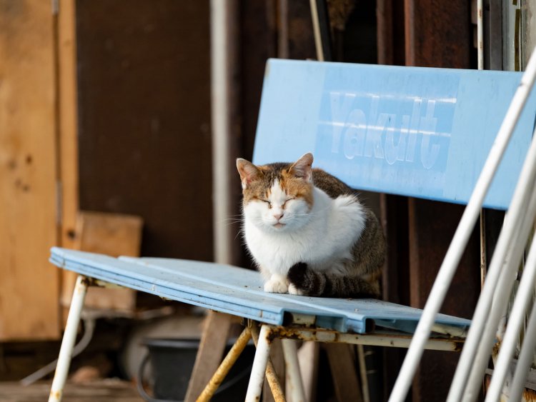 「いい匂いがしてきたぞ」と焼き上がりを待ちかねています。