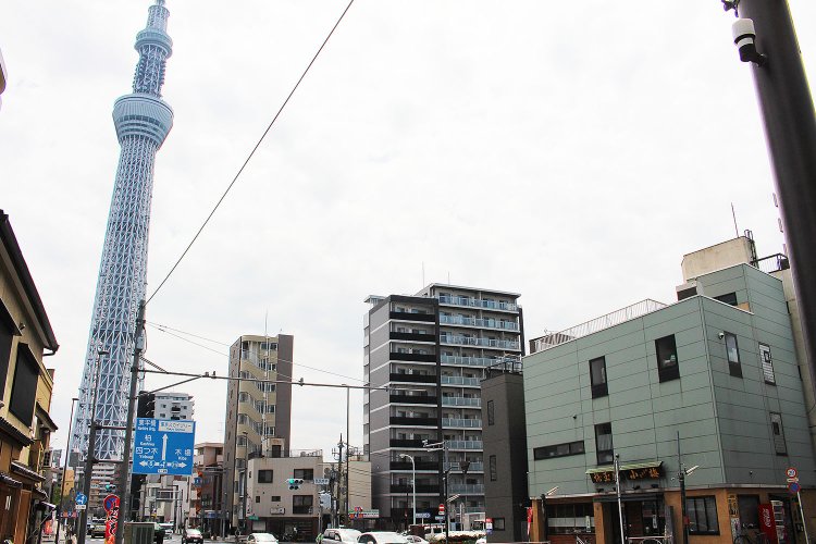 『埼玉屋小梅』向かって左手に見える東京スカイツリー。