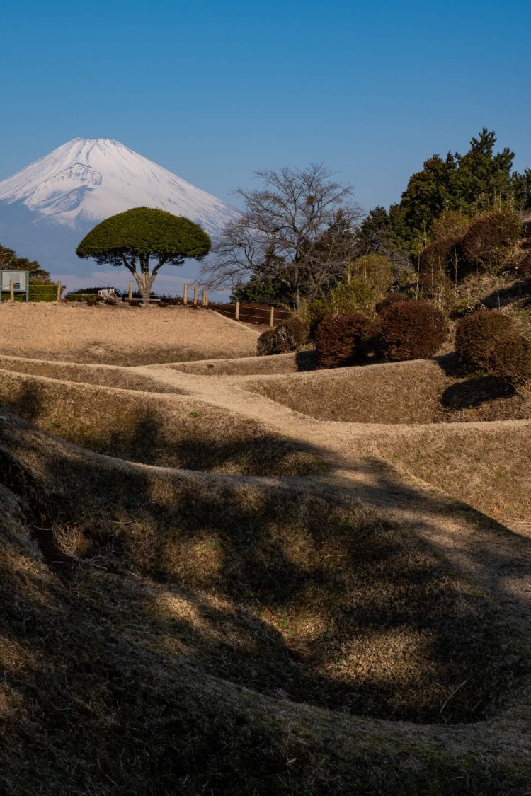 ユニークな形状の障子堀の先に富士山が悠然と姿を見せている。
