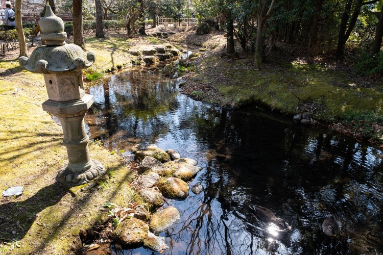 水辺に集まる野鳥を待つバードウォッチャーの姿も多い水の苑緑地。