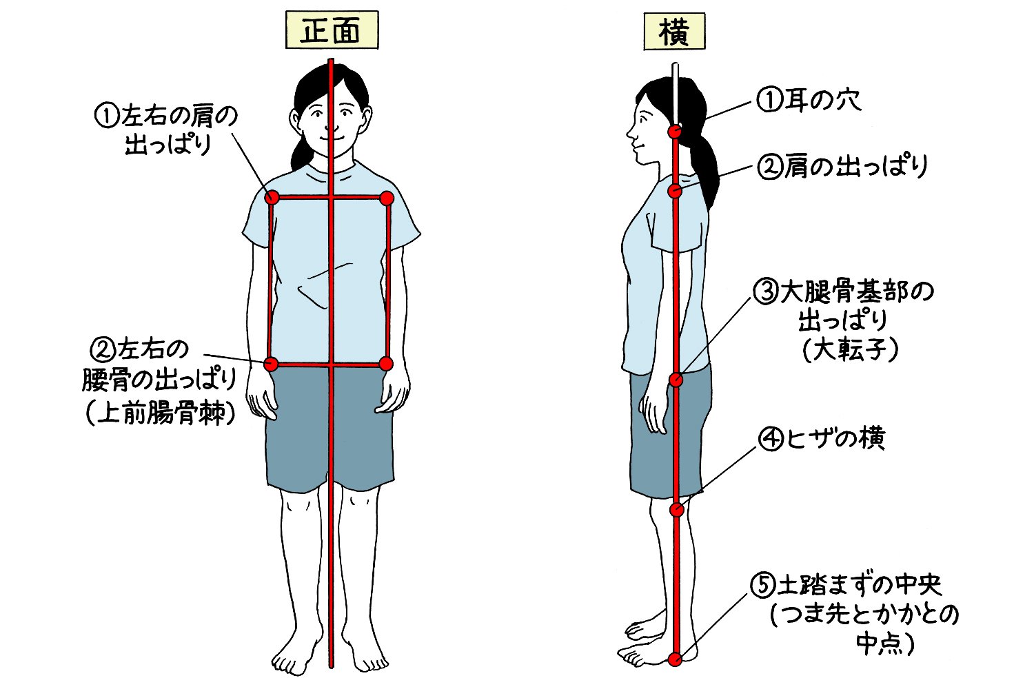 長時間立っているのがつらい 運動後の発泡酒はng フィジカルトレーナーにきく がんばりすぎない70 健康法 健康さんぽ相談室 さんたつ By 散歩の達人