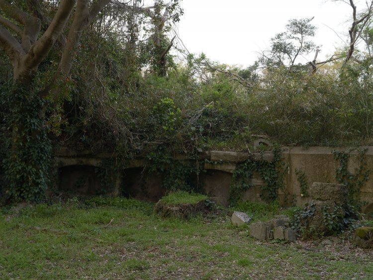 木と蔦で覆われた胸墻。残存する三基の砲座は、どれも自然へと還るかのように植物に呑まれていた。