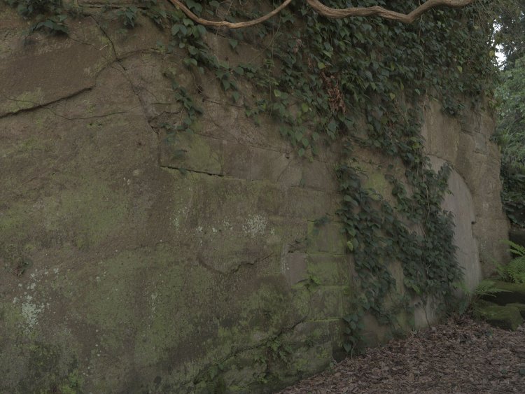 横墻の扉、岩盤と同化しそうな全体部分。