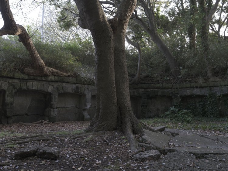 この砲座には二十八センチ榴弾(りゅうだん)砲が二門配備されていたとのこと。今は榴弾砲ではなく樹木が……。