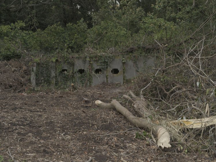 北門第一砲台跡へ向かう道すがらにも何かの施設の痕跡があった。