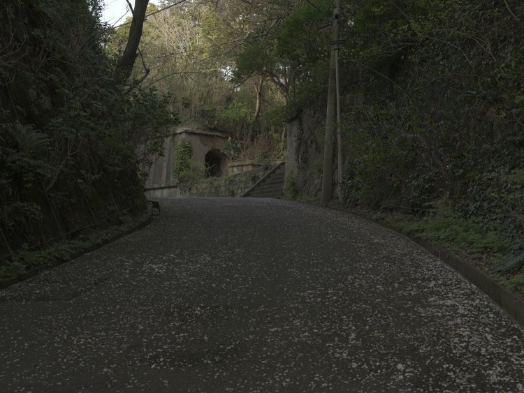 これは廃線跡の雰囲気がする。ちなみにこの道は元々砲台へ通ずる軍道であった。