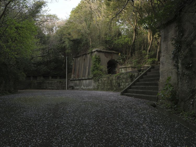 近づくと砲台跡だと分かる。中央のレンガトンネルは横墻で、下部にあった弾薬庫から砲弾を上げ下げしていた。右の階段を登ると砲座だ。