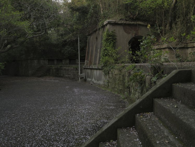 この角度で横墻を見ると廃線跡に見えてしまう。軽便鉄道の列車がトンネルから出るシーンを妄想してみる。