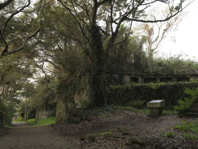 段々状になっていた北門第二砲台は自然と一体化しつつある。手前の説明板の上部に砲座があった。