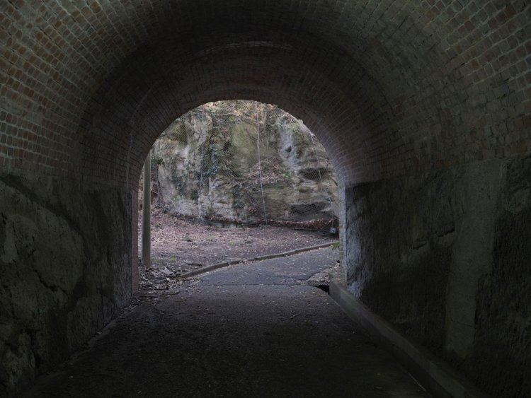 トンネル出口の先は薄暗く岩盤が剥き出しになっている。そこにあるのは……。